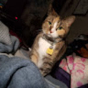 Meet your Posher, Jenny